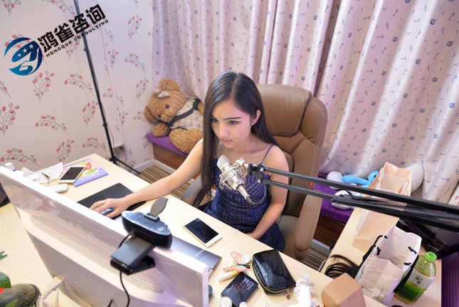 網絡文化經營許可證續(xù)期